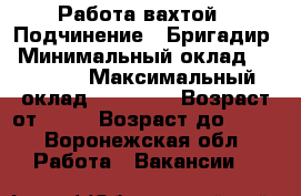 Работа вахтой › Подчинение ­ Бригадир › Минимальный оклад ­ 33 000 › Максимальный оклад ­ 40 000 › Возраст от ­ 18 › Возраст до ­ 55 - Воронежская обл. Работа » Вакансии   